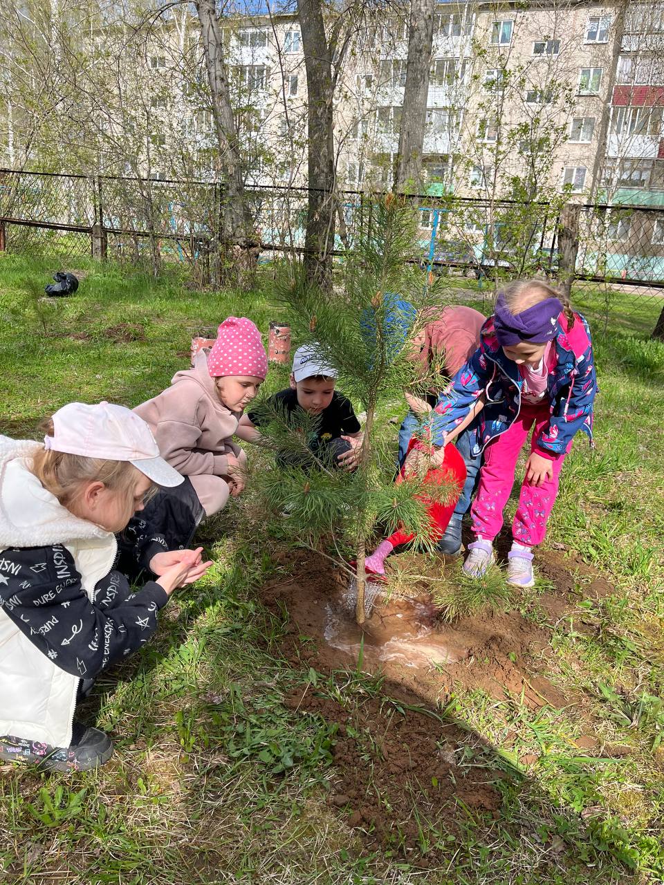 Совет молодежи УЗПМ принял участие в экологической акции по озеленению Краснокамска, рис. 5
