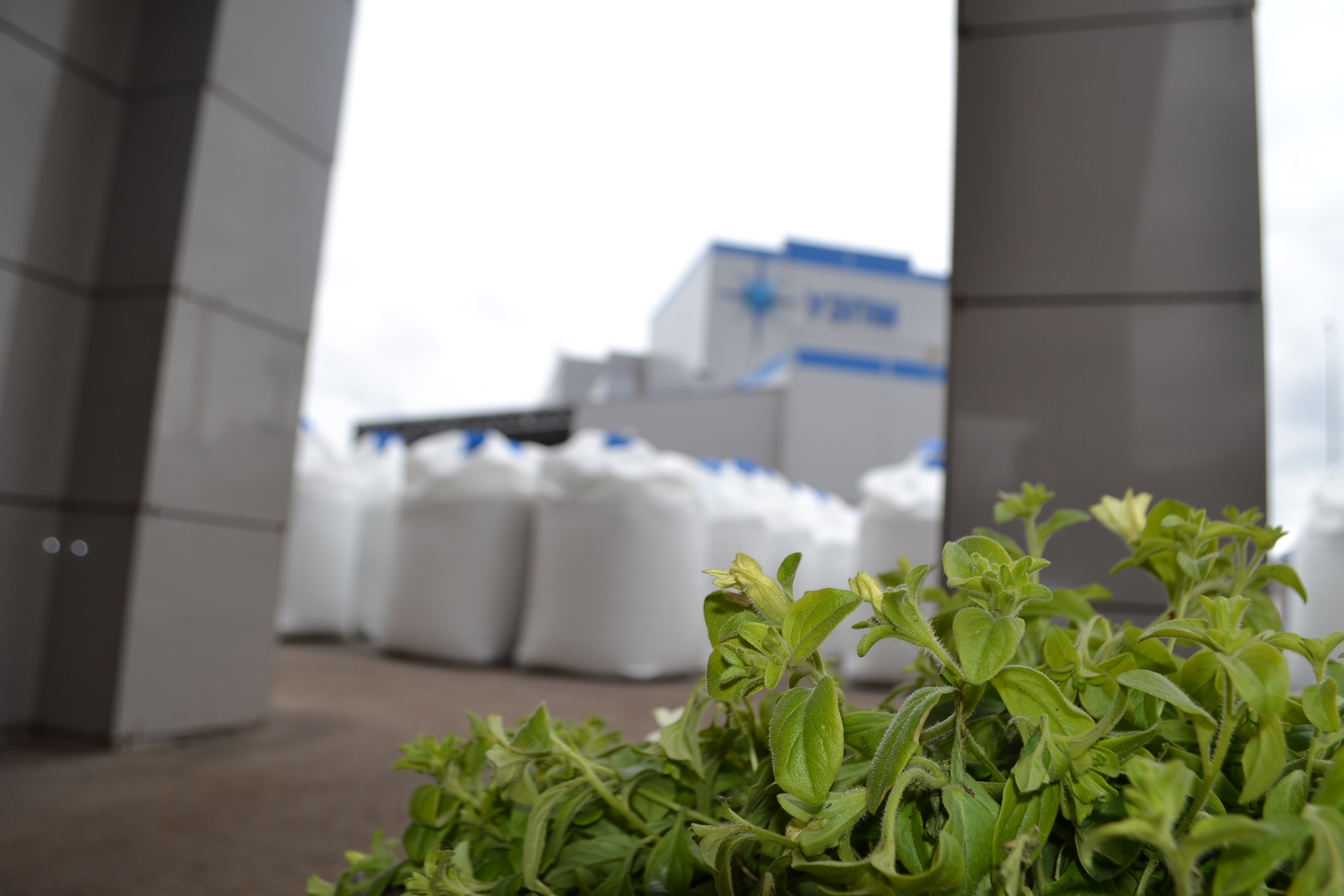 Экологи УЗПМ подвели итоги природоохранной деятельности