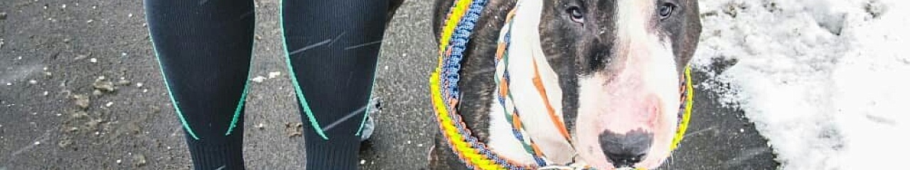 Пёс в большом городе: чем зимой рискует ваш питомец