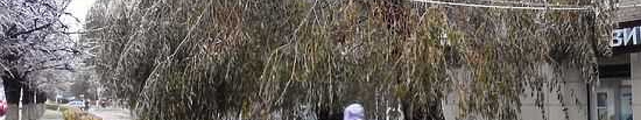 Как Чебоксары преодолели последствия ледяного дождя